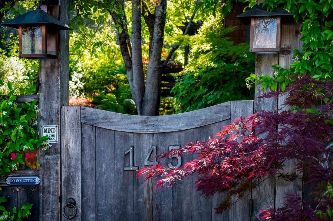 A serene scene with a wooden gate surrounded by vibrant foliage and decorative lanterns.